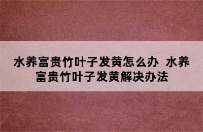 水养富贵竹叶子发黄怎么办  水养富贵竹叶子发黄解决办法